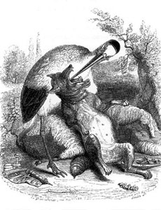 La Fontaine - illustration Grandville - le Loup et la Cigogne